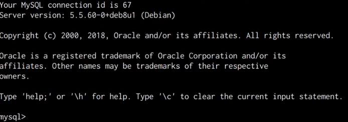 Raven VM MySQL login Raven VM MySQL login