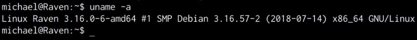 Raven VM uname output Raven VM uname output